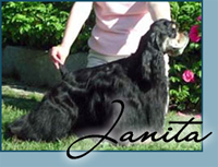 Candida's Tuff-E-Nuff