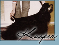 Candida's Demon's Tan Toe