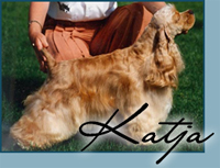 Candida's Crystal Light