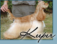 Candida's Keep n' Touch