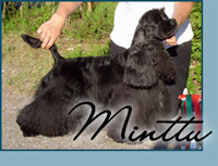 Candida's Do-Re-Mi Miss