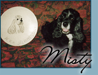 Candida's Mister Misty