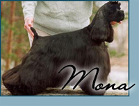 Candida's Fata Morgana