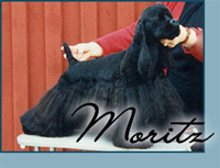 Candida's Sahib Mac Kid