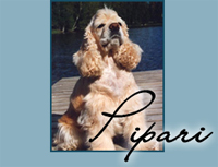 Candida's Tuff Cookie