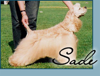 Candida's Rhythm of Rain