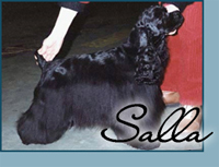 Candida's Gypsy Dance