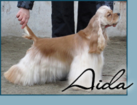 Exclamation Rose Kiss