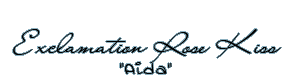 Exclamation Rose Kiss