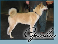 Candida's September Song