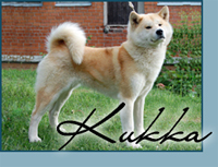 Candida's Flower Dance