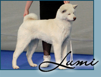 Candida's October Opal