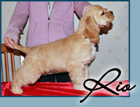 Heavenly Way's Autumn Temptation