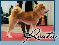 Razmus Akai Oujisama Go