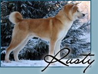 Candida's Sunday Charm