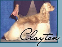 Denali's Lone Ranger