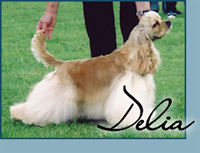 Candida's Worth the Wait