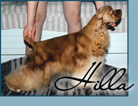 Candida's Red Romance