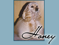 Quartermaster Honey Style