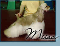 Candida's California Cream