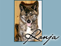 Ängsmyrens Ichigatsu Jiai Kenkovji