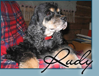 Candida's Tuff Stuff