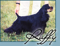 Doggone To Tuff To Be Buff