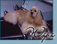 Waverly Lady Whimsley